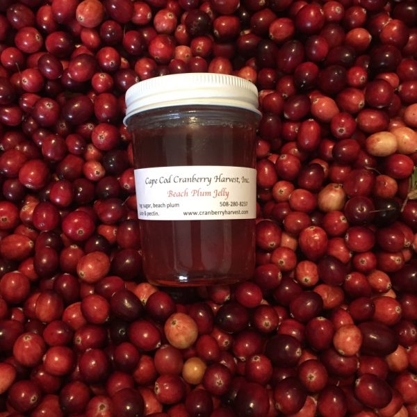 Beach Plum (temporarily out of stock)